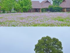 -良渚古城遗址公园