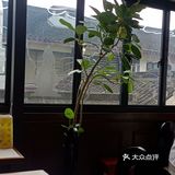 这段时间非常有名气的小吃店，今天30号又带老妈来吃了！