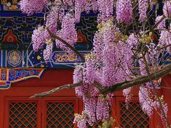 -北京国子监胡同