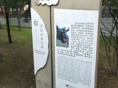 -洛阳白云山景区