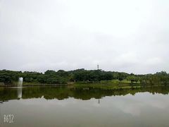 -东莞植物园