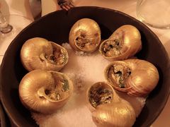 -金蜗牛