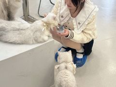 -共舞时光猫咖·狗咖(新街口店)
