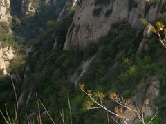 -北京凤凰岭