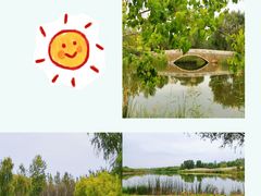 -东郊湿地公园