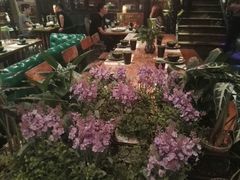 -胡桃里乐队酒馆(鎏嘉码头店)