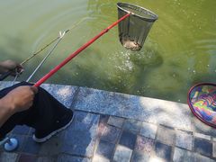 -酷鱼垂钓CLUB(朝阳区博大路店 )