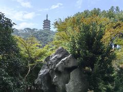 -焦山风景区