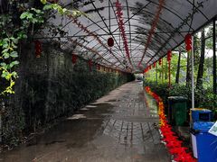 -天下先生态园农庄CS团建露营地(海鸥岛店)