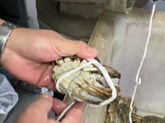 -黄记大闸蟹专卖店·活蟹·醉蟹