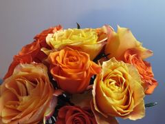 -梧桐人家中国太平国际健康颐养社区