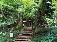 -庐山风景区花径公园