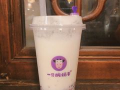 -一只酸奶牛(八一路店)