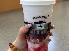 -雾与山茶(大禹城店)