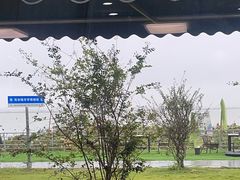 -七的湖·晚芳亭·阳澄湖农家菜·大闸蟹(莲花岛店)