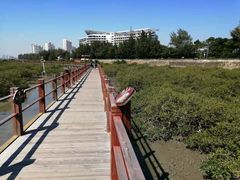 -北海金海湾红树林生态旅游区