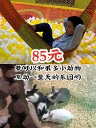 -宝燕乐园(闵行旗舰店)