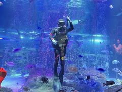 -沈阳海洋探索中心