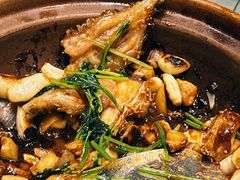 -鱼神·脆肉鲩 全鱼宴(西乡店)