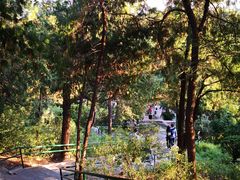 -景山公园