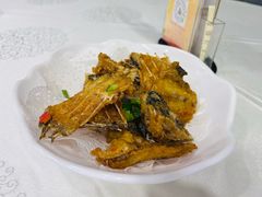 -寻味顺德·南记酒家·传统顺德菜·鱼生(广源路店)