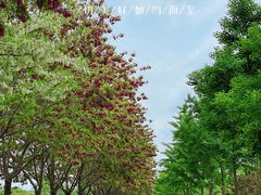 -旧宫(地铁站)