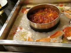 -红鼎坊·老成都火锅(新南门店)