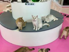 -福田卓悦INTOWN购物中心