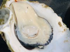 桑拿生蚝-飞尝蚝·顺德菜·鱼生(顺德总店)
