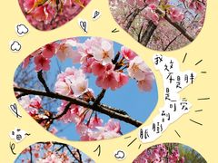 -白塘生态植物园