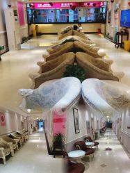 -北京俪婴妇产医院(朝阳大悦城店)