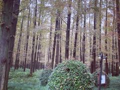 -上海怡沁园度假酒店