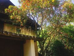 -法云古村