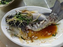 -鹿福农庄(南沙天后宫店)