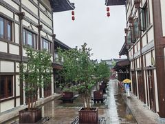 -大唐贡茶院