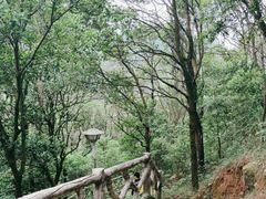 -大雁山风景区