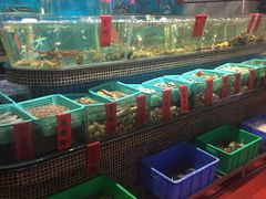 -海大大蒸汽海鲜餐厅·粤菜·特色小炒(欢乐颂店)