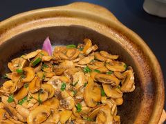 -羊门客在·烤盐池滩羊·川菜