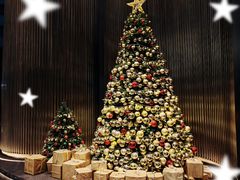 -博林天瑞喜来登酒店·西丽尚膳