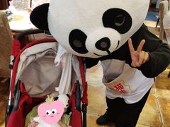 -熊猫不走蛋糕（同城送）(长沙店)