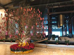 -河源万绿湖美思威尔顿酒店