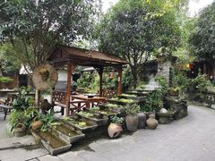 -青城甲(青城山店)