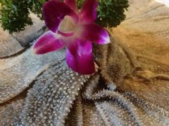 -大妙火锅·非物质文化遗产(东湖公园店)