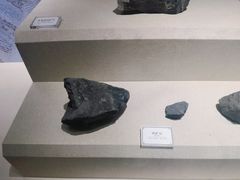 -辽宁古生物博物馆