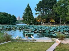 -白塘生态植物园