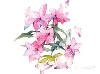 一组充满想象力的花卉水彩画