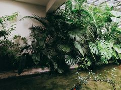 -漫笙舍Manse·咖啡·民宿