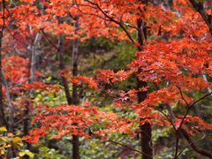 -本溪老边沟风景区