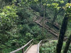 -青城山