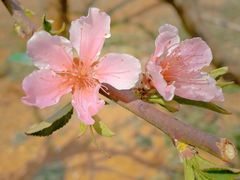 -云南艺术学院(呈贡校区)